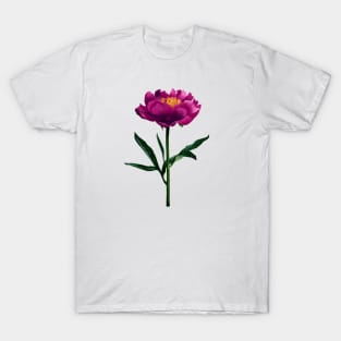 Peonies print T-Shirt